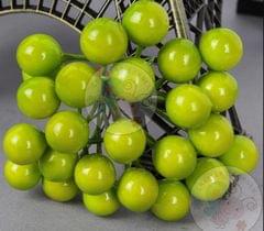 Gloss Finish Pollen - Green Gloss Finish Pollen - Green