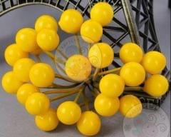 Gloss Finish Pollen - Yellow Gloss Finish Pollen - Yellow