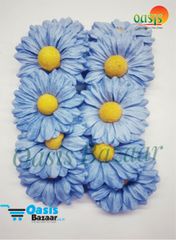 Daisy Sun Flowers Blue in Color. Daisy Sun Flowers Blue in Color.