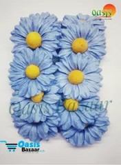 Daisy Sun Flowers Blue in Color. Daisy Sun Flowers Blue in Color.