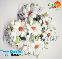 Daisy Sun Flowers White in Color. Daisy Sun Flowers White in Color.