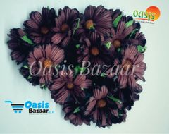 Daisy Sun Flowers Burgundy in Color. Daisy Sun Flowers Burgundy in Color.