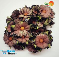 Daisy Sun Flowers Brown in Color Daisy Sun Flowers Brown in Color