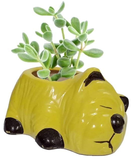 Ceramic Cute Puppy Dog Planter: Indoor Outdoor Flower Pot Table Decor (12546)