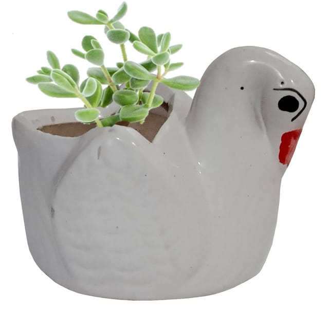 Ceramic Cute Duck Swan Planter: Indoor Outdoor Flower Pot Table D�cor, Mini (12548)