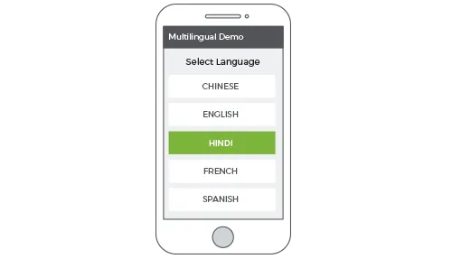 StoreHippo B2C ecommerce platform's inbuilt multilingual support to build multilingual online stores.