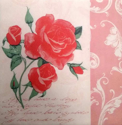 Decoupage Napkin / Tissue papers - GT1953