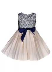 Navy Lily Dress
