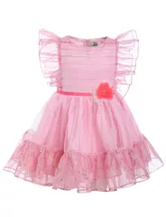Raspberry Park Dress