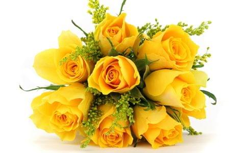 Enrich your love and friendship with yellow roses