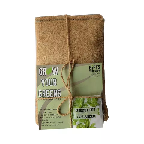 Micro Green Kits : Coriander Seeds