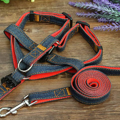 Jeans Dog Belt with Leash (DB-6)