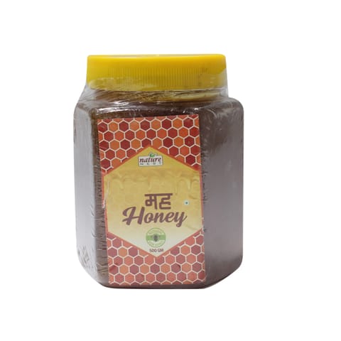 Nature Nest Raw Honey-500gm (New Year Offer)