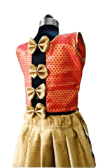 Babbles - Brocade Silk Crop Top with Skirt