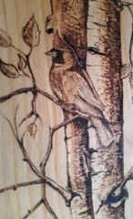 ARTium- Pyrography on Wood- CARDINAL LOOK