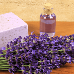 Nayaa Organics-Lavender Soap-50 gms