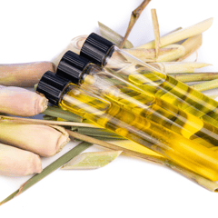 Paper Flower - Pure Incense -Lemongrass Fragrance
