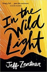 In The Wild Light By Jeff Zentner Publisher Andersen Press