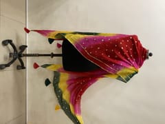 Multicolor Coloured Georgette Embroidery Duppata