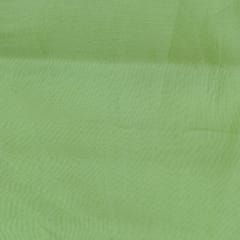 Mint Green Color Viscose Upada