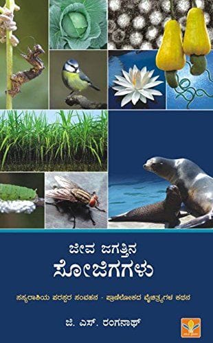 Jeeva Jagattina Sojigagalu [Paperback] [Jan 01, 2014] Dr.G.S.Ranganath