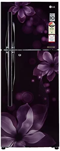 LG 260 L 3 Star Frost-Free Double Door Refrigerator (GL-I292RPOY, Purple Orchid, Inverter Compressor)