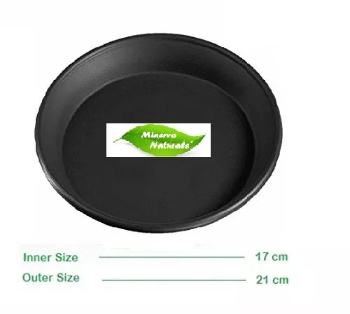 Bottom Tray for 10 inch Conical shape pot ( Set of 5 ) Black Color ( 8 inch x 8 inch)