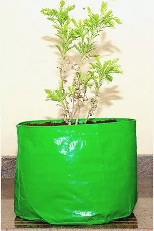 Terrace Gardening HDPE Grow Bag Green color 12'' x 12'' (Set of 2) - Minerva Naturals