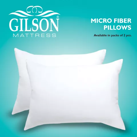 Gilson Pack Of 2  Micro Fiber Pillow (17x27)-White