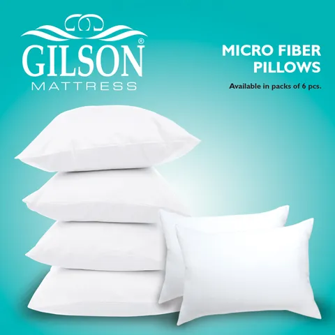 Gilson Pack Of 6 Micro Fiber Pillow (17x27)-White