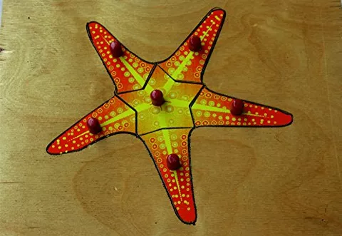 Jnanamudra Montessori Zoology STAR FISH Puzzles