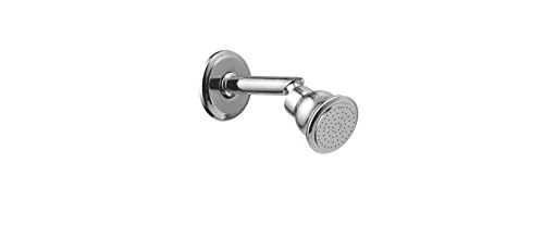 Shaks Traders NANO SHOWER WITH 6INCH ARM WITH FLANGE FULL BRASS
