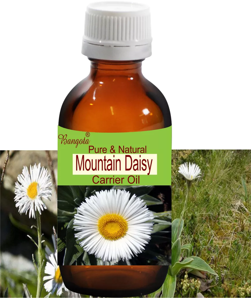 Moutain Daisy Oil -  Pure & Natural  Carrier Oil