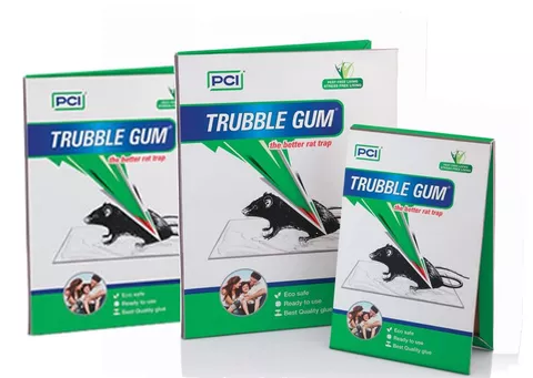 Trouble Gum Plastic Mouse Glue Pad To Kill Rat Without Poisons - 3 Piece