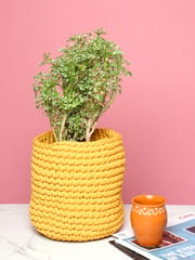 Sunshine yellow crochet plant pot holder from Habere India/ Designer basket planters indoor which is multi-functional/ stylish crochet indoor planters online