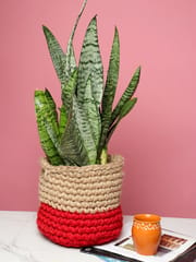 Natural & Crimson Red crochet plant pot holder from Habere India/ Designer indoor plant pots which is multi-functional/ stylish crochet indoor planters online