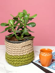 Natural & Camouflage crochet plant pot holder from Habere India/ Designer indoor plant pots which is multi-functional/ stylish crochet indoor planters online