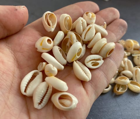 100 Pcs Cowrie Shell Beads White Assorted Size