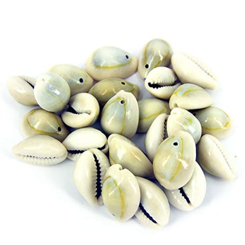 20 Pcs, 15-20mm Drilled One Hole Sea Shell Cowrie Cowry Beads