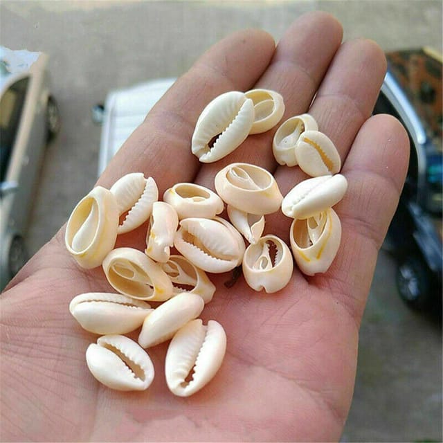 50 Pcs, 12-15mm Bulk Cut Sea Shell Cowrie Cowry Beads White