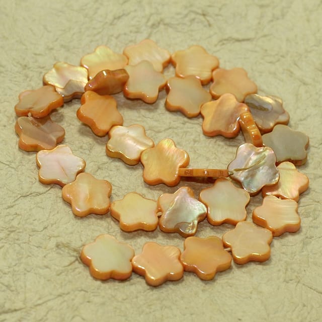 14mm Flower Shell Beads Orange 1 String