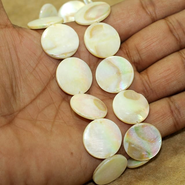 20mm Disc Shell Beads Off White, 1 String