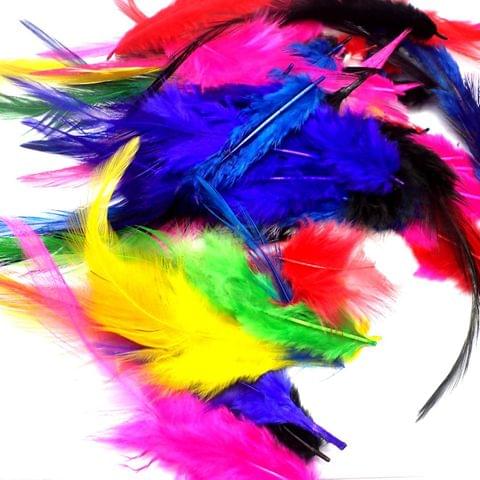 100 Jewellery Making Feather Assorted