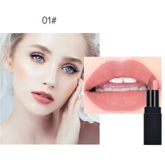 Long-lasting Moisturizing Lipstick Waterproof and Not Easy to Discolor Female Semi-matte Lipstick