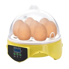7-Eggs Household Automatic Egg Incubator Temperature Control