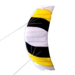 Dual Line Stunt Parafoil Kite Outdoor Sports Fun Beach Flying Kite Toy with 30M Line