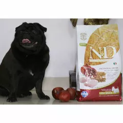 n and d dog food