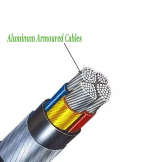 Polycab 6sqmm 2Core Aluminium Armoured LT Power Cable