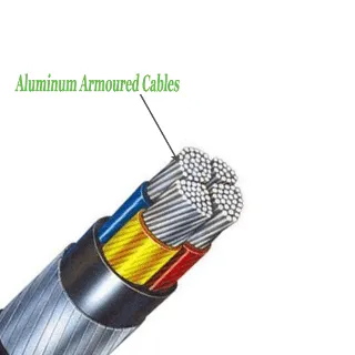 Polycab 95sqmm 2Core Aluminium Armoured LT Power Cable