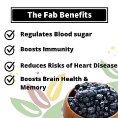 Fabbox Dried Blueberries